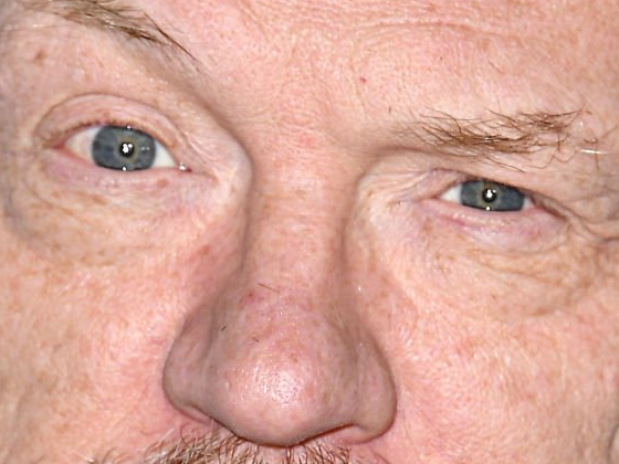 jared francis harris acteur britannique anglais irlandais vieux homme soixantaine soixantenaire