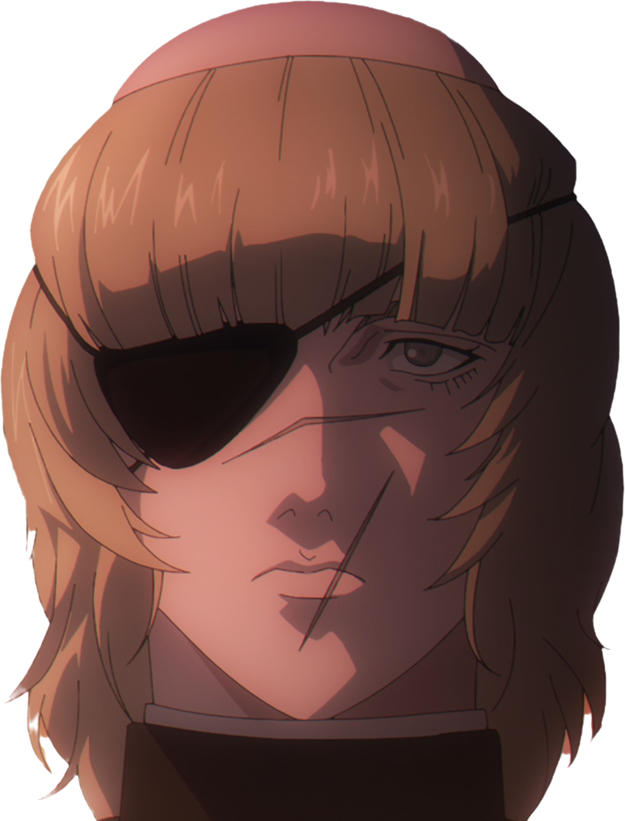 du mouvement de la terre