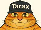 tare-tarax-saliax-sora-asterix-obelix-chat-casquette
