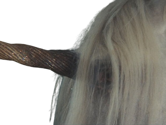 licorne cheval unicorne creature animal legendaire arseneur epreuve poudlard