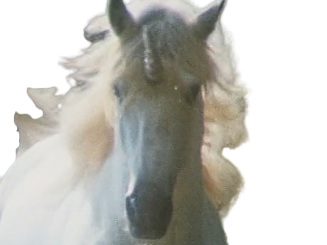 licorne cheval unicorne creature animal legendaire arseneur epreuve poudlard