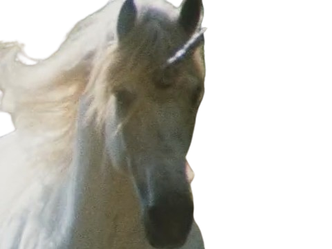 licorne cheval unicorne creature animal legendaire arseneur epreuve poudlard