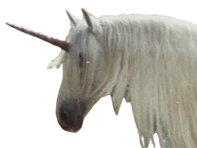 licorne cheval unicorne creature animal legendaire arseneur epreuve poudlard