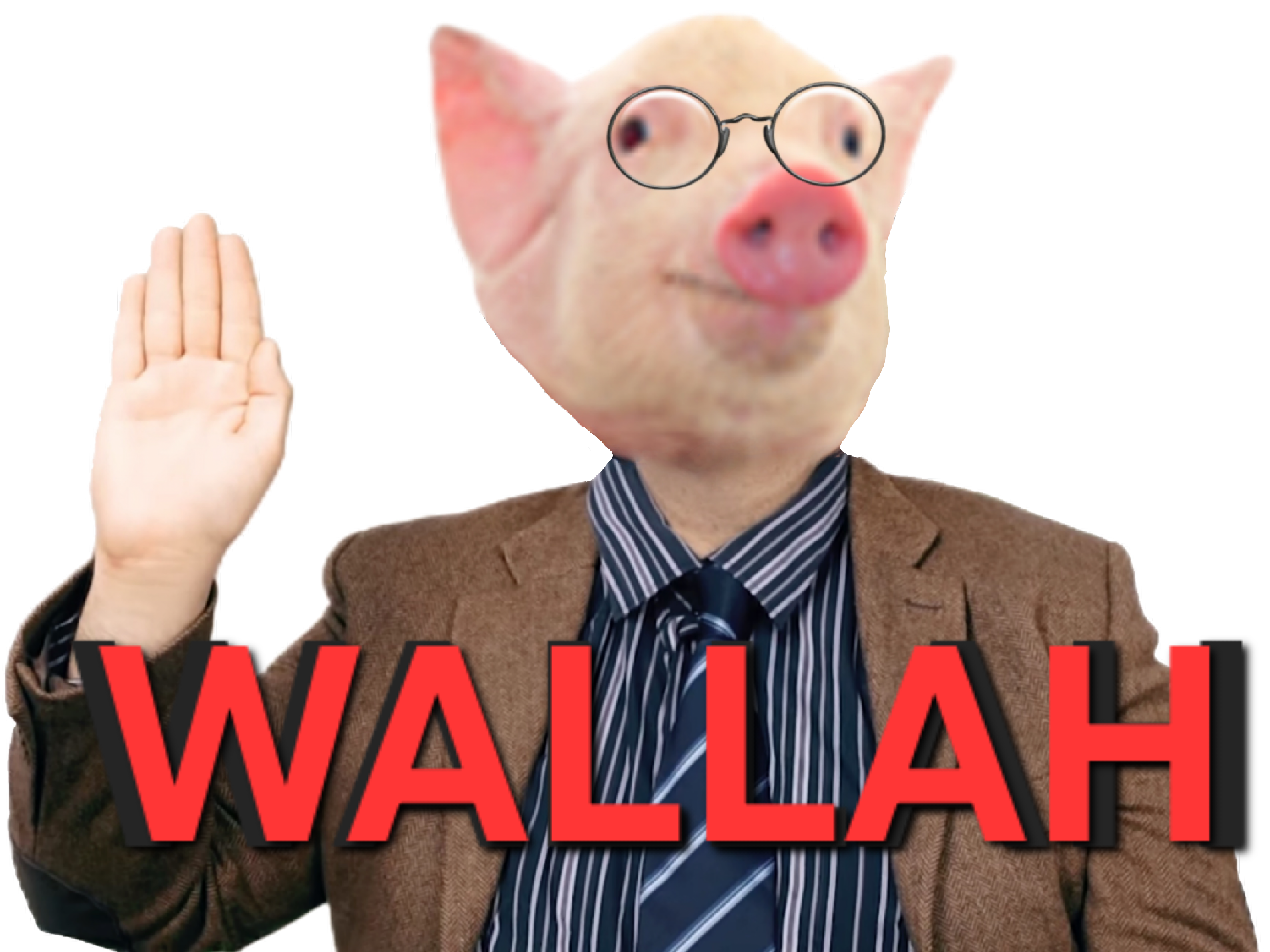 homme cochon jure promet promesse wallah par allah