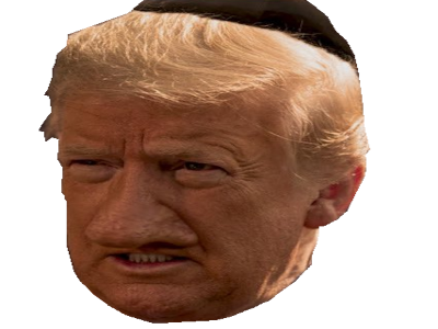 donald trump juif kippa nez rabbin radin israel usa president zog