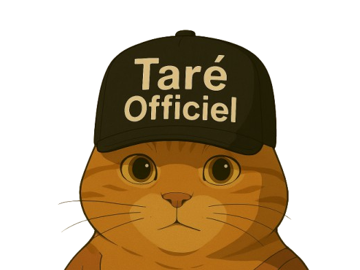 casquette chat tare risitas avortin ghibli officiel
