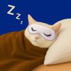 chat-dormir-dodo-masque-sleepmask