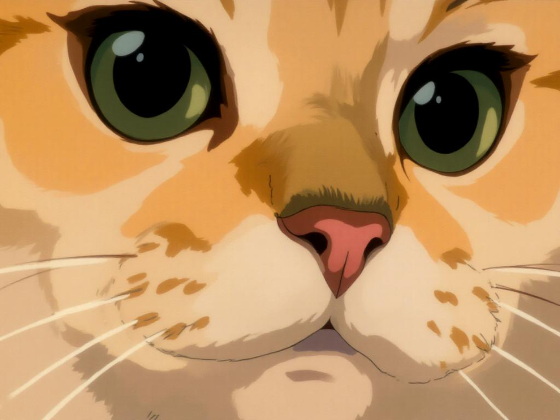 chat roux zoom stylise art dessin ghibli manga minette hautain