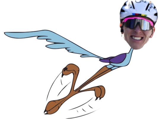 tadej pogacar pogi bip