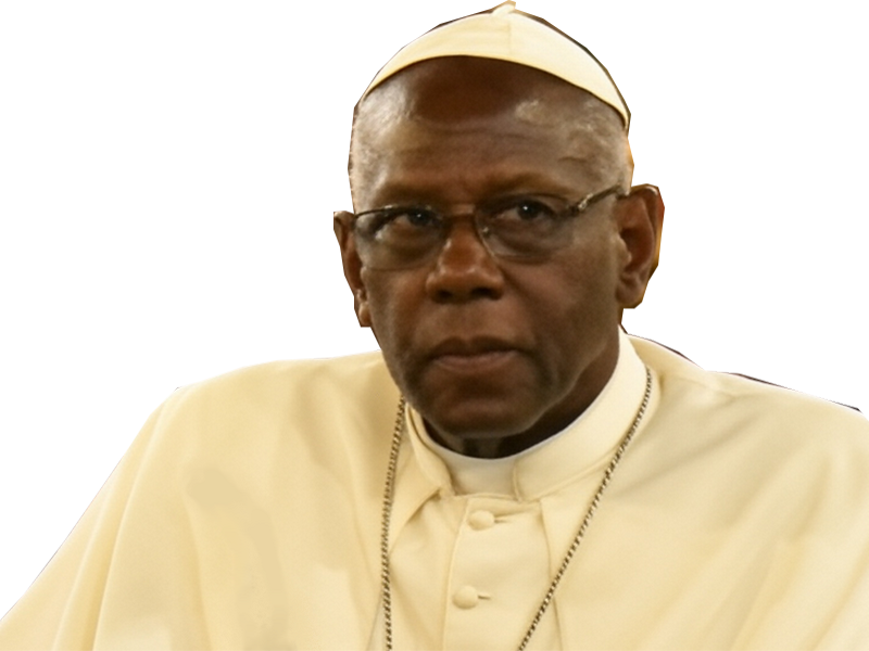cardinal robert sarah pape catholique eglise vatican