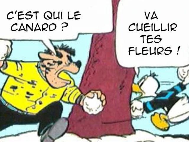 lagrogne donald fleur voisin bagarre canard