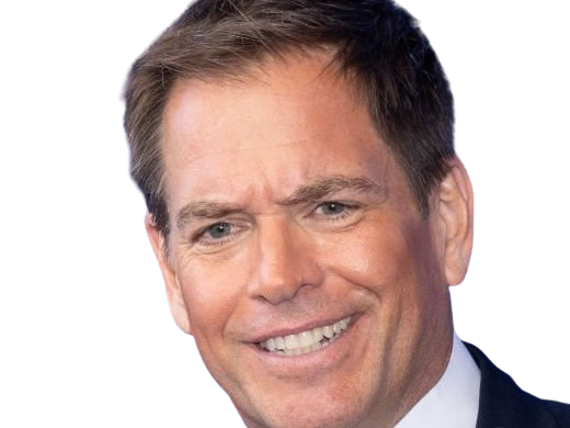 michael manning weatherly acteur chanteur producteur americain ncis anthony dinozzo homme cinquantenaire cinquantaine