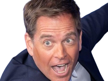 michael manning weatherly acteur chanteur producteur americain ncis anthony dinozzo homme cinquantenaire cinquantaine