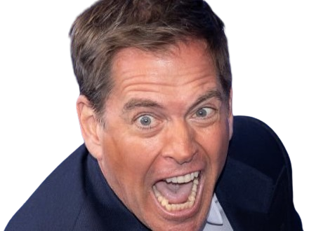 michael manning weatherly acteur chanteur producteur americain ncis anthony dinozzo homme cinquantenaire cinquantaine