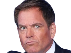 michael manning weatherly acteur chanteur producteur americain ncis anthony dinozzo homme cinquantenaire cinquantaine