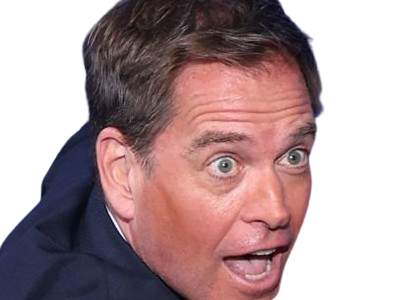 michael manning weatherly acteur chanteur producteur americain ncis anthony dinozzo homme cinquantenaire cinquantaine