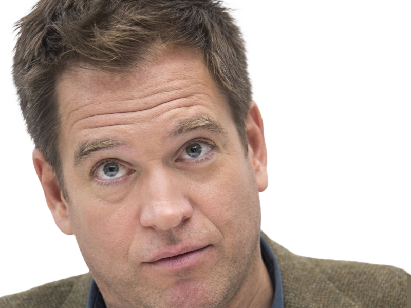 michael manning weatherly acteur chanteur producteur americain ncis anthony dinozzo homme cinquantenaire cinquantaine