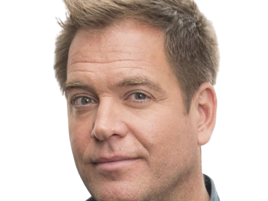 michael manning weatherly acteur chanteur producteur americain ncis anthony dinozzo homme cinquantenaire cinquantaine