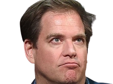 michael manning weatherly acteur chanteur producteur americain ncis anthony dinozzo homme cinquantenaire cinquantaine