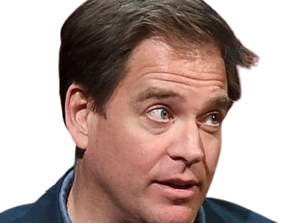 michael manning weatherly acteur chanteur producteur americain ncis anthony dinozzo homme cinquantenaire cinquantaine