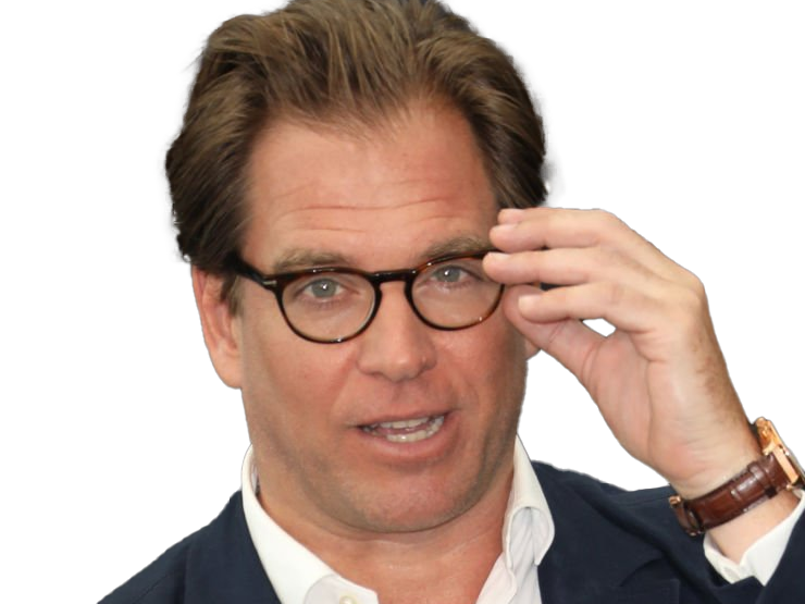michael manning weatherly acteur chanteur producteur americain ncis anthony dinozzo homme cinquantenaire cinquantaine