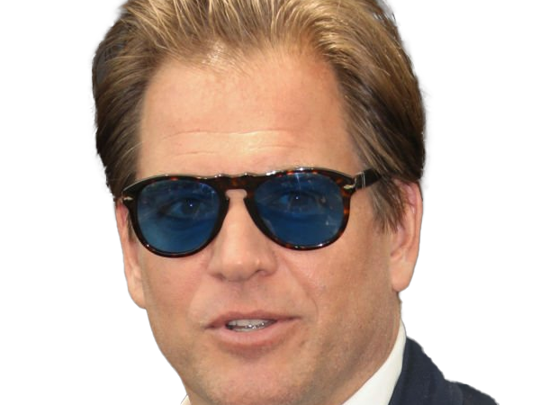 michael manning weatherly acteur chanteur producteur americain ncis anthony dinozzo homme cinquantenaire cinquantaine