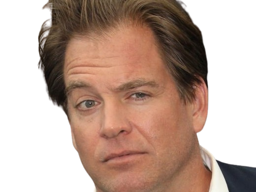 michael manning weatherly acteur chanteur producteur americain ncis anthony dinozzo homme cinquantenaire cinquantaine