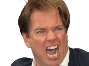 michael manning weatherly acteur chanteur producteur americain ncis anthony dinozzo homme cinquantenaire cinquantaine