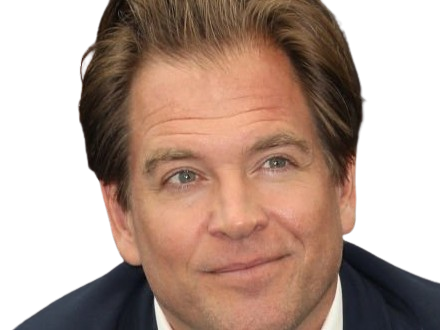 michael manning weatherly acteur chanteur producteur americain ncis anthony dinozzo homme cinquantenaire cinquantaine