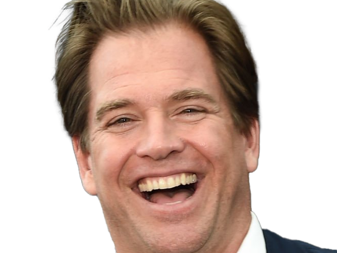 michael manning weatherly acteur chanteur producteur americain ncis anthony dinozzo homme cinquantenaire cinquantaine