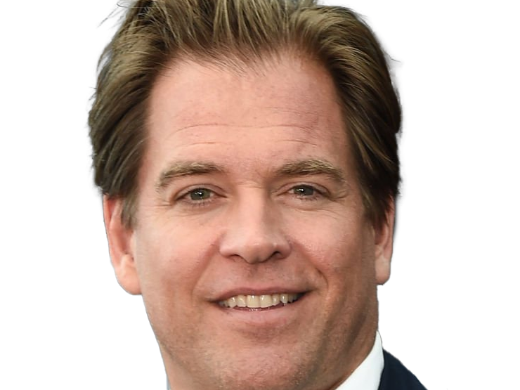 michael manning weatherly acteur chanteur producteur americain ncis anthony dinozzo homme cinquantenaire cinquantaine