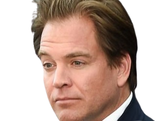 michael manning weatherly acteur chanteur producteur americain ncis anthony dinozzo homme cinquantenaire cinquantaine