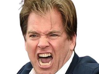 michael manning weatherly acteur chanteur producteur americain ncis anthony dinozzo homme cinquantenaire cinquantaine