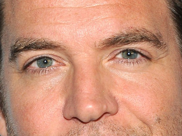 michael manning weatherly acteur chanteur producteur americain ncis anthony dinozzo homme cinquantenaire cinquantaine