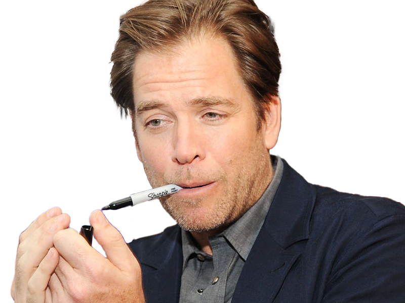 michael manning weatherly acteur chanteur producteur americain ncis anthony dinozzo homme cinquantenaire cinquantaine