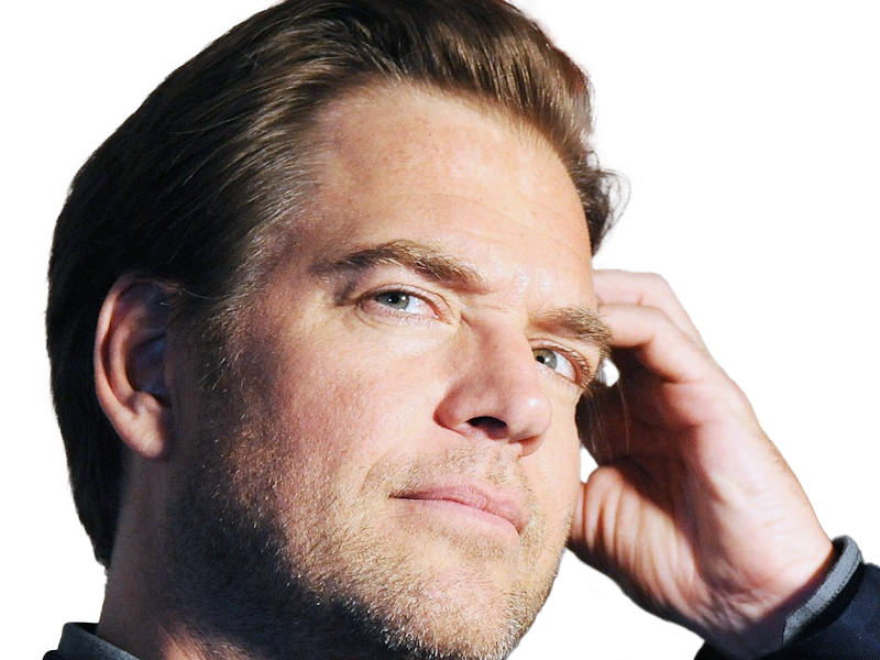 michael manning weatherly acteur chanteur producteur americain ncis anthony dinozzo homme cinquantenaire cinquantaine