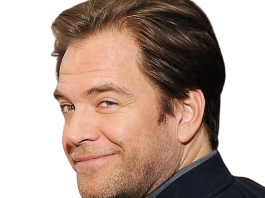 michael manning weatherly acteur chanteur producteur americain ncis anthony dinozzo homme cinquantenaire cinquantaine
