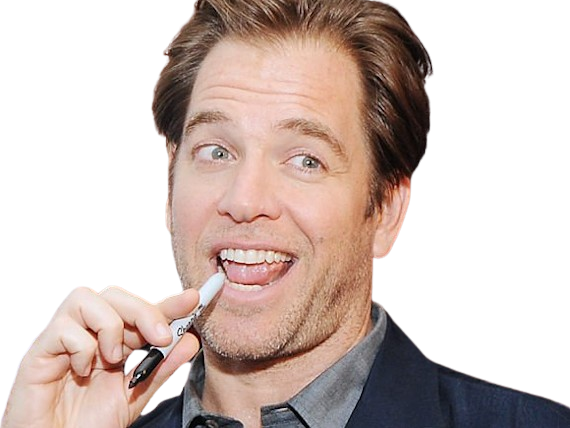 michael manning weatherly acteur chanteur producteur americain ncis anthony dinozzo homme cinquantenaire cinquantaine