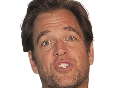 michael manning weatherly acteur chanteur producteur americain ncis anthony dinozzo homme cinquantenaire cinquantaine