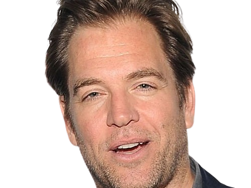 michael manning weatherly acteur chanteur producteur americain ncis anthony dinozzo homme cinquantenaire cinquantaine