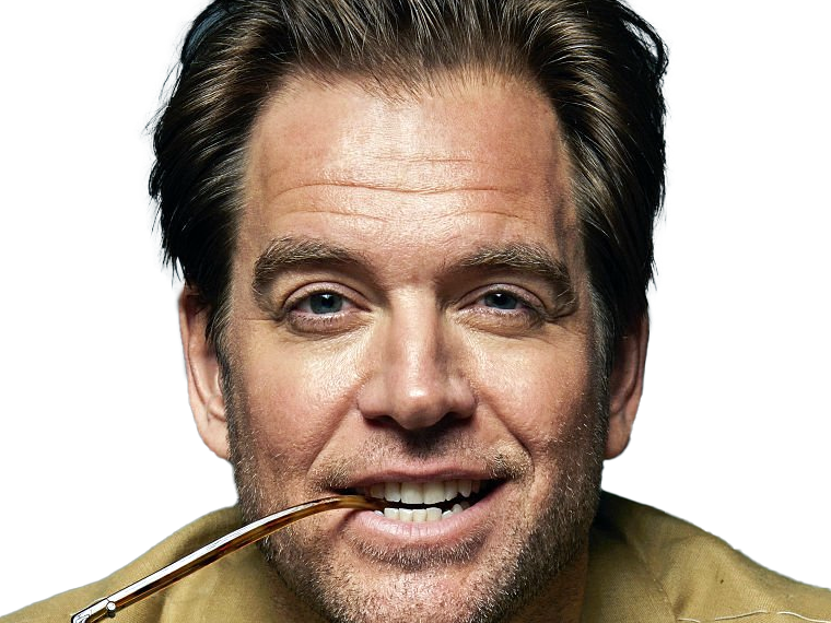 michael manning weatherly acteur chanteur producteur americain ncis anthony dinozzo homme cinquantenaire cinquantaine