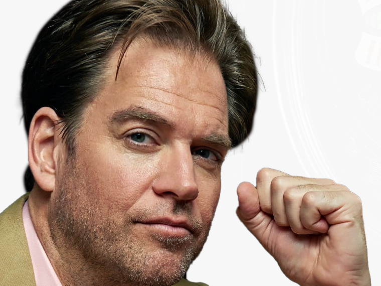 michael manning weatherly acteur chanteur producteur americain ncis anthony dinozzo homme cinquantenaire cinquantaine