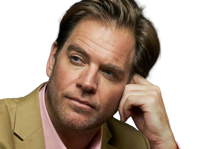 michael manning weatherly acteur chanteur producteur americain ncis anthony dinozzo homme cinquantenaire cinquantaine