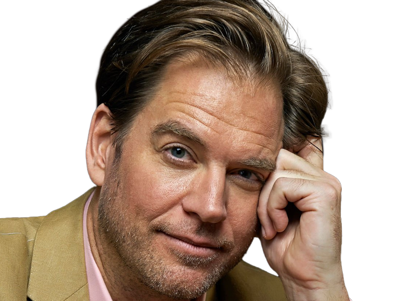 michael manning weatherly acteur chanteur producteur americain ncis anthony dinozzo homme cinquantenaire cinquantaine