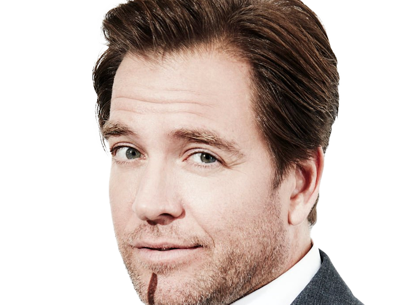 michael manning weatherly acteur chanteur producteur americain ncis anthony dinozzo homme cinquantenaire cinquantaine