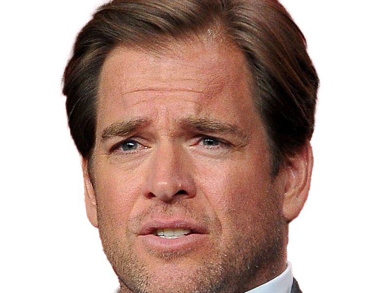 michael manning weatherly acteur chanteur producteur americain ncis anthony dinozzo homme cinquantenaire cinquantaine