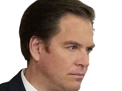 michael manning weatherly acteur chanteur producteur americain ncis anthony dinozzo homme cinquantenaire cinquantaine