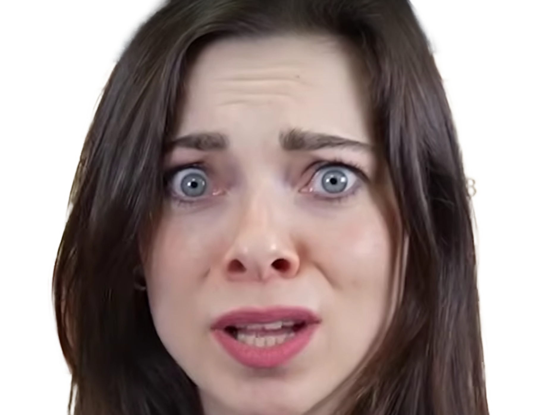 dina belenkaia russe joueuse echecs femme yeux bleus brune