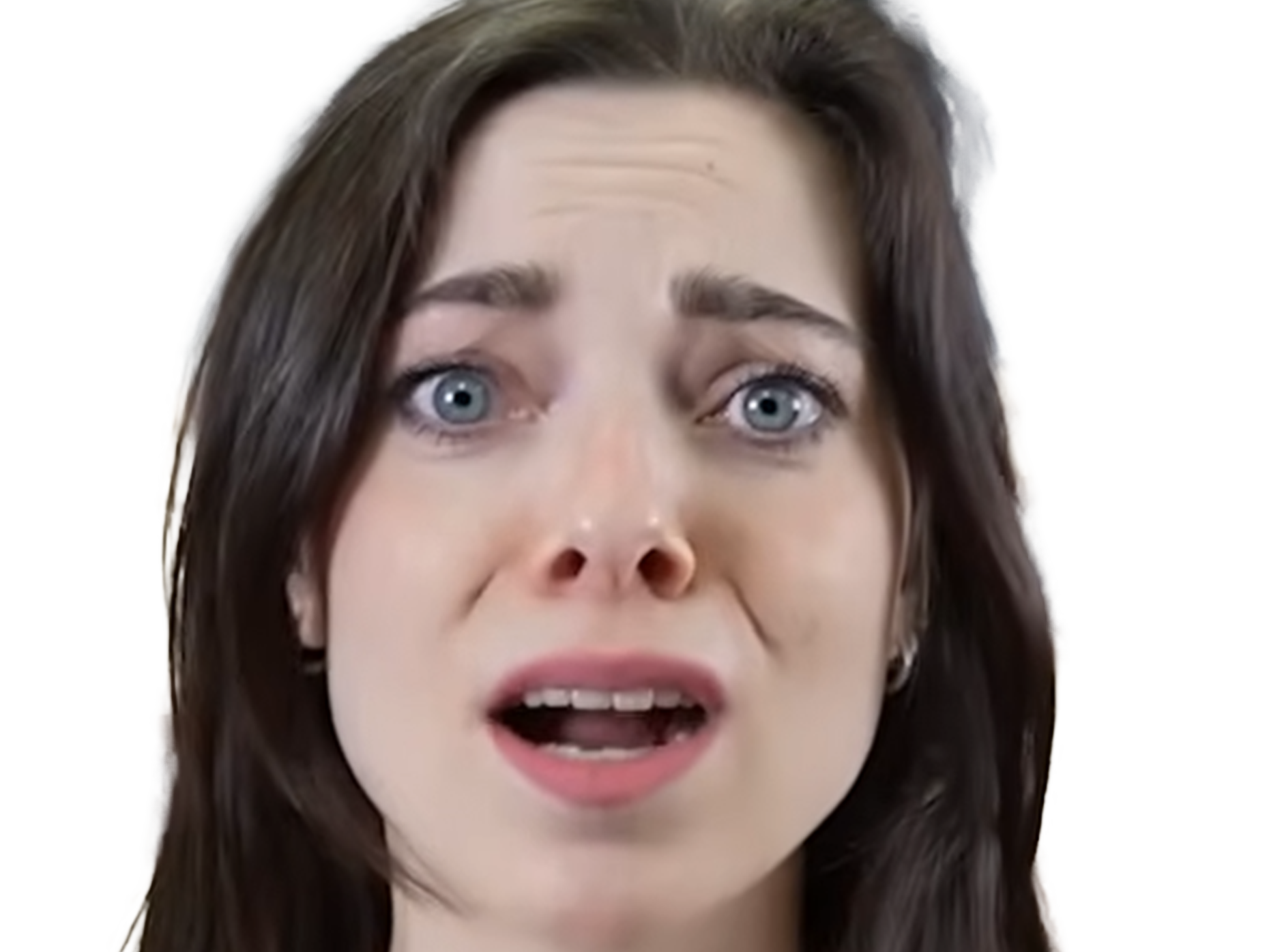 dina belenkaia russe joueuse echecs femme yeux bleus brune