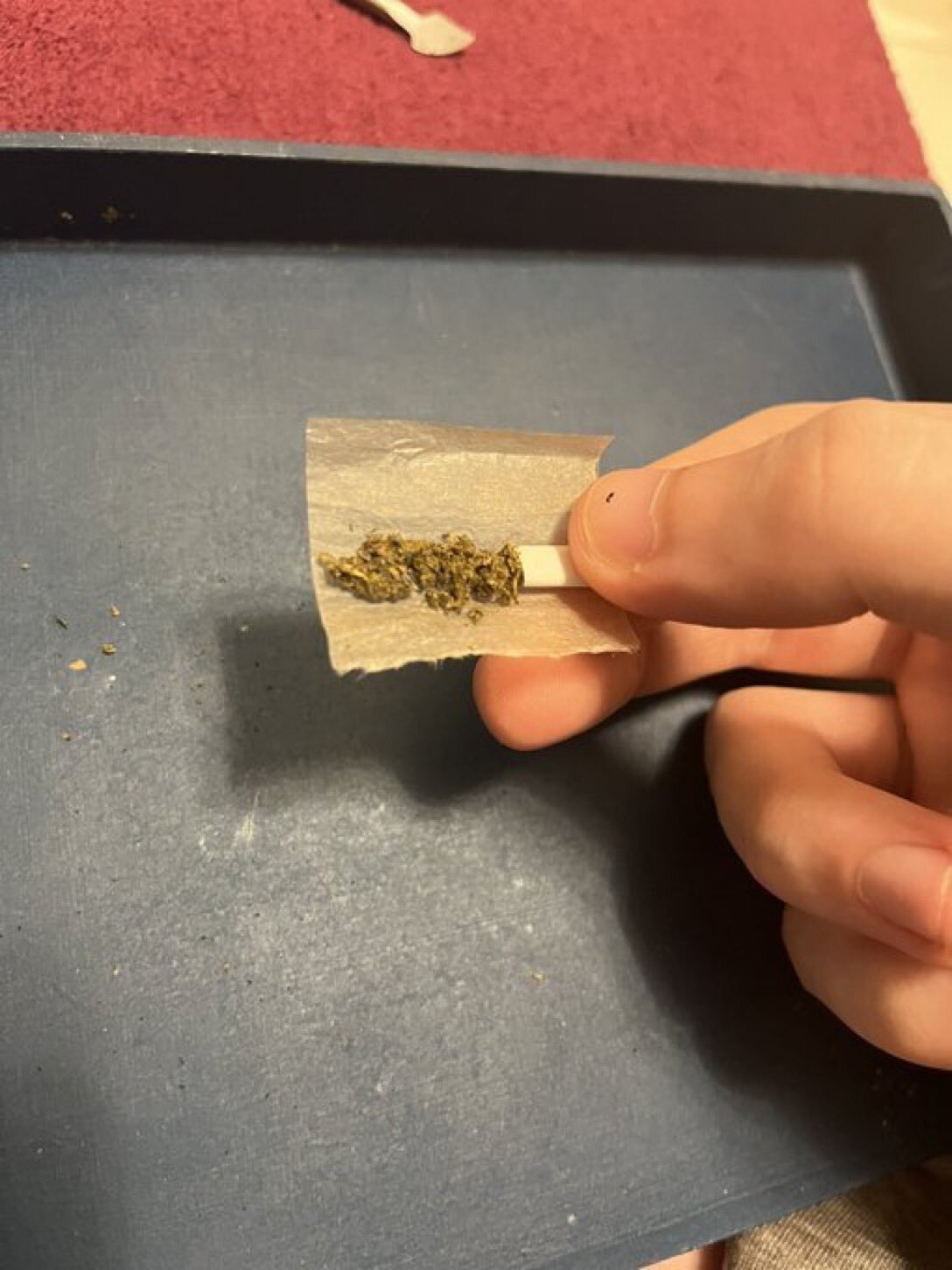 glandilus off beuh ganja teuf fiesta herb ocb cig cana def drug meth blunt cbd